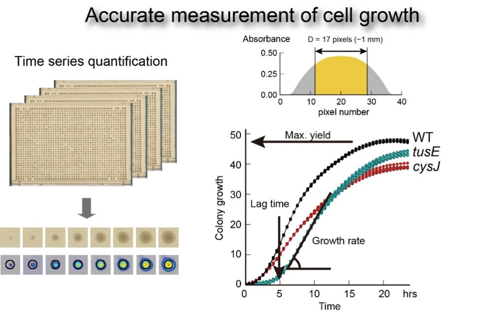 Automatic Colony Growth Monitoring System2